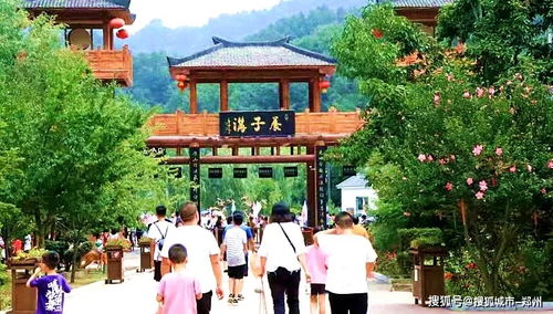 迎六一歡樂多！熊貓生日派對(duì)盛大開啟，這些人費(fèi)用全免，欒川童趣樂翻天